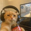 Ogge