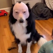 JohnHerold2's Avatar