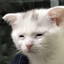 Hux