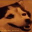 Mindlessdog