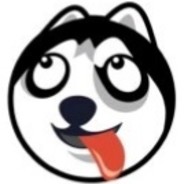 了不起的哈士奇