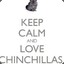 ChinchillaTime