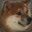 Sad Doge