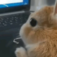 我踏马吃吃吃吃吃