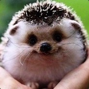 ебля в дошике  :3