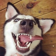 最爱黑丝长腿大胸少妇