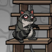 Racoon