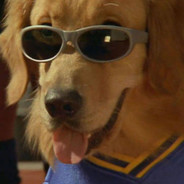 Air Bud Fan