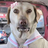 JK少女大拉不多