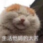 招财进宝
