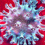 the coronavirus