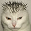 Dynasty OpiumPussy