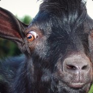 Xx_TheGoatDestroyer_xX