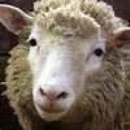 MrSheep - steam id 76561197970788840