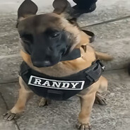 惠灵顿做成烤包子