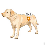 Joe - steam id 76561199789689206