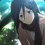 Mikasa