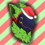 Christmas Gnome