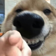 裤衩套头也风流