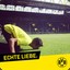 BVB Dortmund