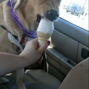 Professional LinkedIn Reviewer