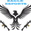 [Eagle] Roni