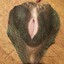 牛不牛逼看头像