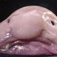 1234567890