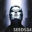 Seeds34