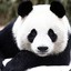 LIB_PANDA