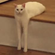 ็็็็็็็็็็