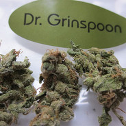 Dr.Grinspoon