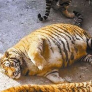 兰伯特奥古斯奇迹