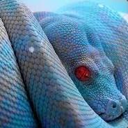 SnakeSoul