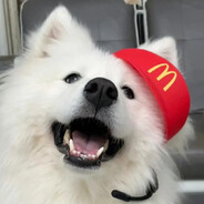 祺祺怪怪的祺祺