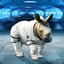 Space Rhinoceros