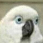 Кирил Тритрицепс