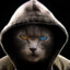 Damon_