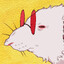 Rat