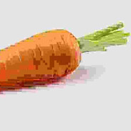 Carrot