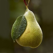 BoostedPear TTV's Avatar