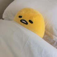 кошмар на крыльях