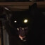 MoonTheLoon