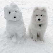 mnö - steam id 76561199175823409