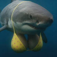 ≠kal govnistov≠ - steam id 76561198281460581