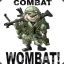 Combat Wombat