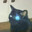 undertale cat