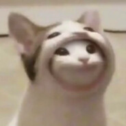 Oh it's dinner time!