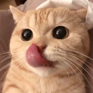 这就是祖安人打招呼的