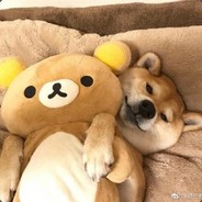 可爱的滋嘣小姐死在了那个夏天